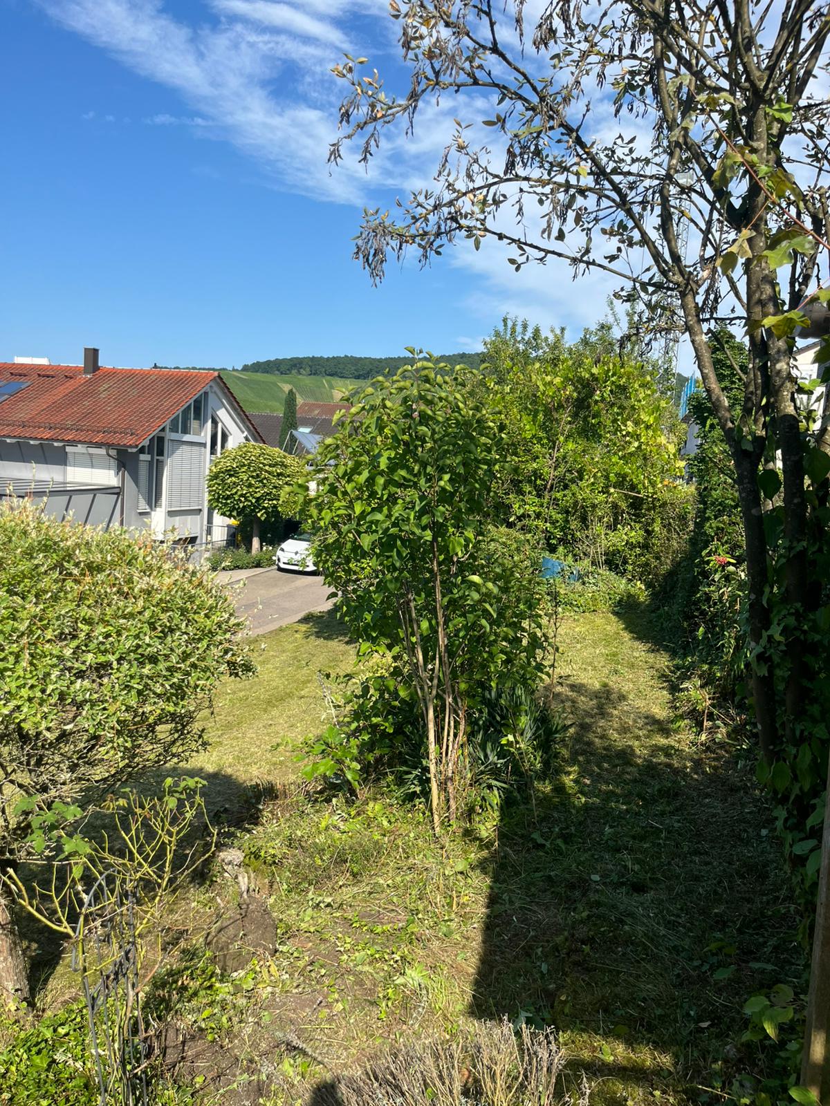 Gepflegter Gartenbereich am Hang
