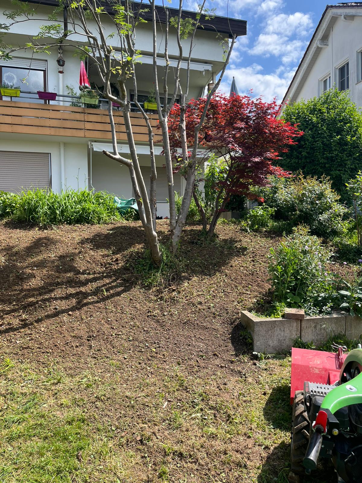 Zweiter Gartenbereich nach der Pflege