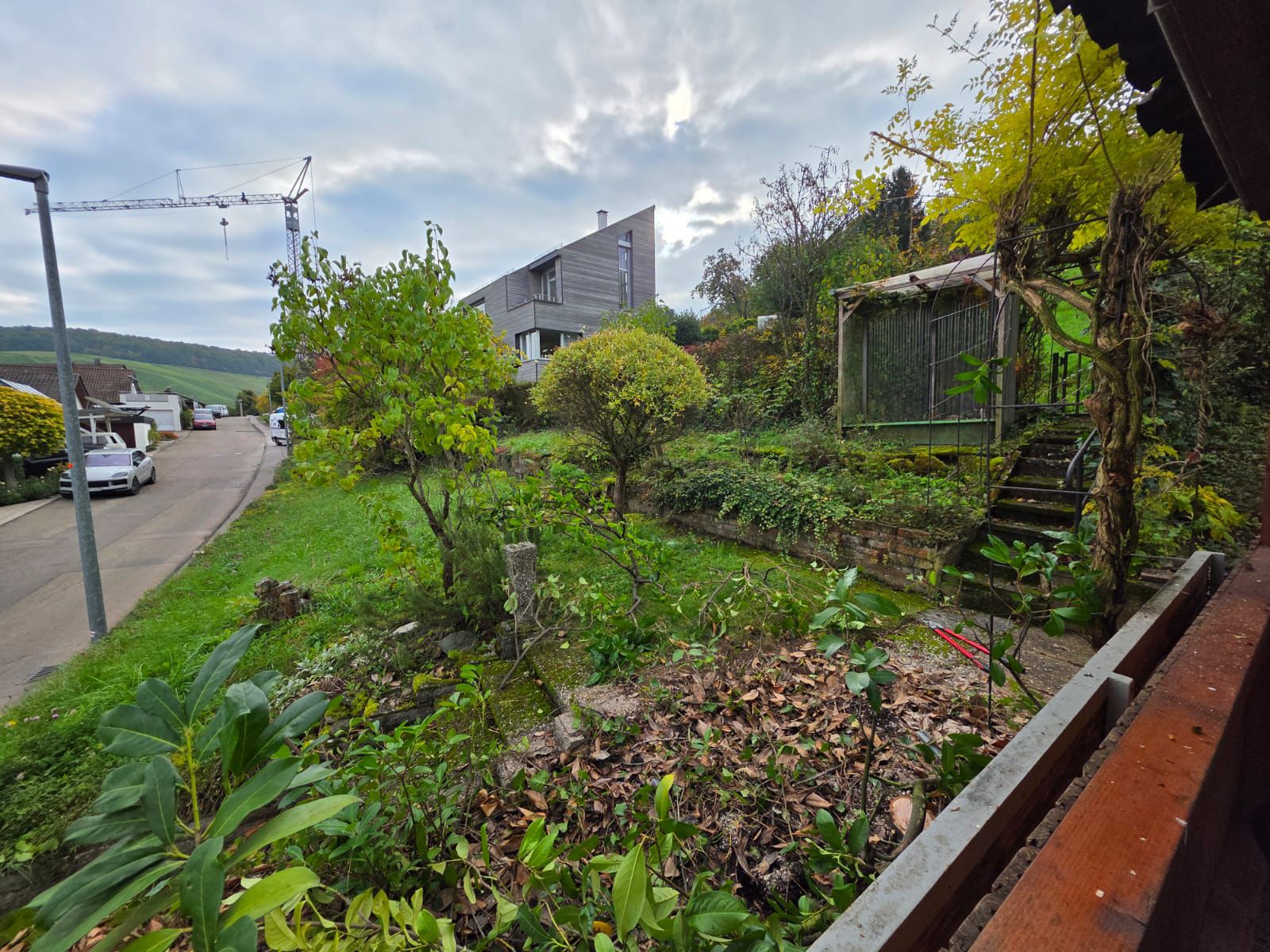 Garten vor der Pflege
